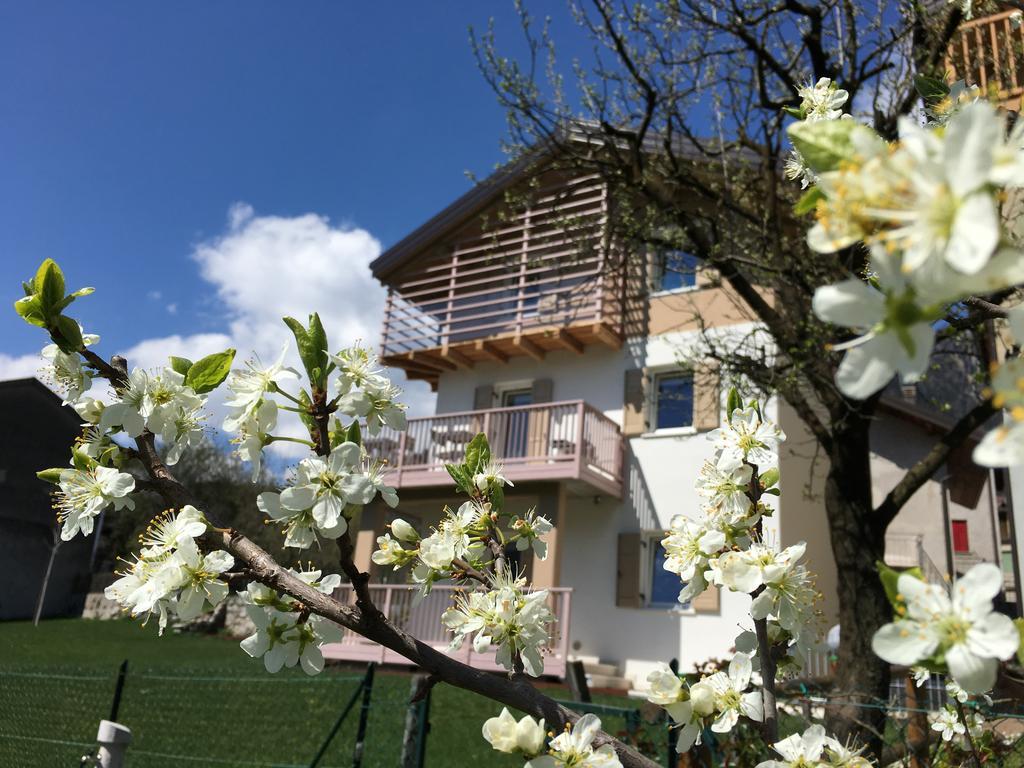 B&B Il Piccolo Principe Room And Breakfast Bieno  Eksteriør billede